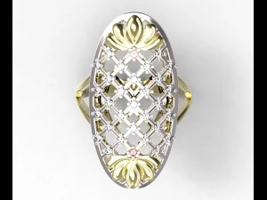 环95 3D 打印模型