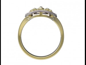 ring 95 3D Принт Модель