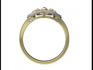 环95 3D 打印模型