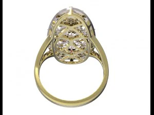 环95 3D 打印模型