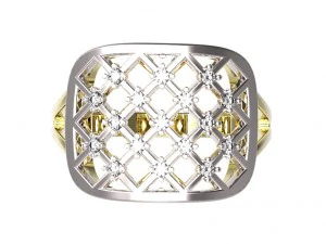 anillo 96 Modelo de impresión 3D