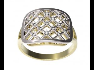 anillo 96 Modelo de impresión 3D