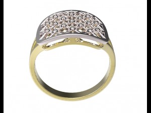ring 96 3D Baskı Modeli