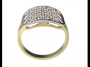 anillo 96 Modelo de impresión 3D