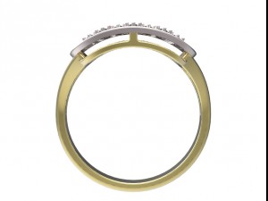 ring 96 3D Baskı Modeli