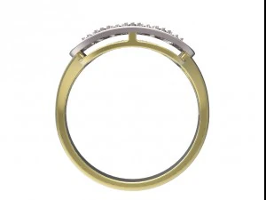 anillo 96 Modelo de impresión 3D