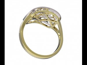 anillo 96 Modelo de impresión 3D