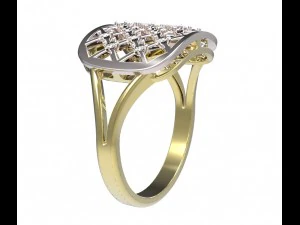 anillo 96 Modelo de impresión 3D