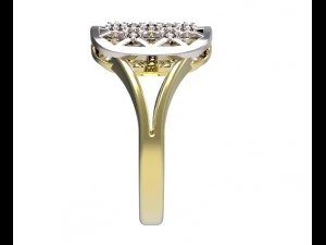 anillo 96 Modelo de impresión 3D