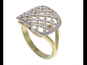 ring 96 3D Baskı Modeli