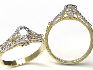 ring 101-1 3D Print Model