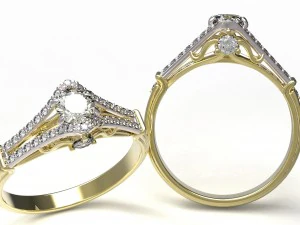 halka 101-1 3D Baskı Modeli