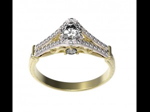 ring 101-1 Modello di stampa 3D