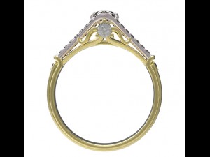 ring 101-1 Modello di stampa 3D