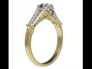 ring 101-1 Modello di stampa 3D