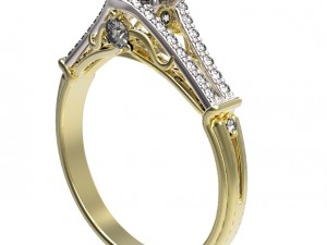ring 101-1 Modello di stampa 3D