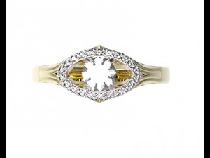 ring 101-2 3D-Druckmodell