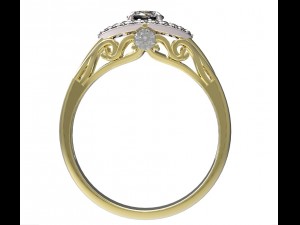ring 101-2 3D-Druckmodell
