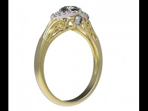 ring 101-2 3D-Druckmodell