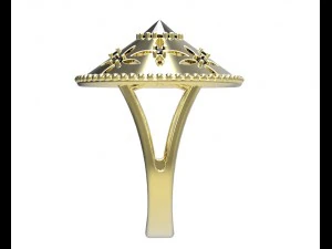 ring 103 3D Print Model