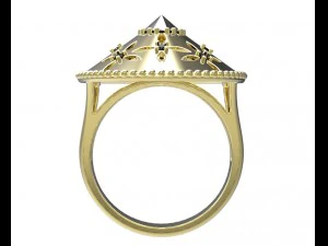 ring 103 3D Print Model