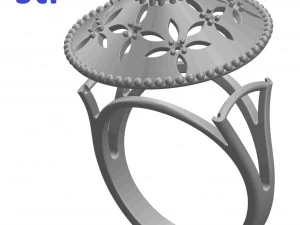 ring 103 3D Print Model