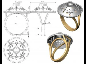 ring 103 3D Print Model