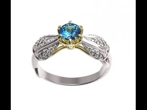 ring 105 3D Print Model
