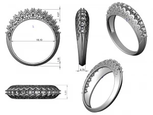 ring 106 3D Print Model