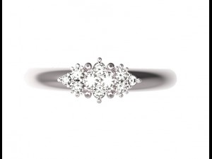 ring 107 3D 프린트 모델