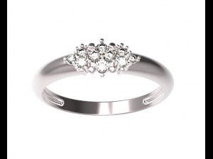 ring 107 3D 프린트 모델