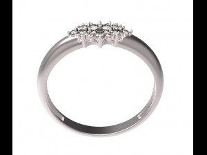 ring 107 3D 프린트 모델