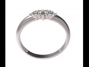 ring 107 3D Print Model