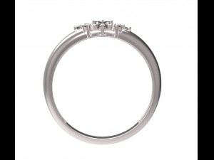 ring 107 3D 프린트 모델