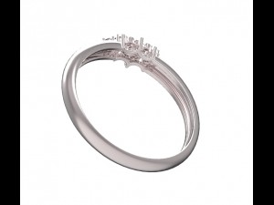 ring 107 3D 프린트 모델