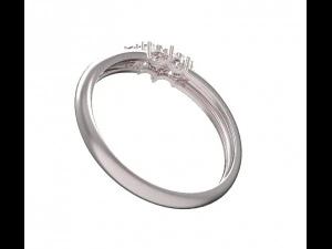 ring 107 3D Print Model