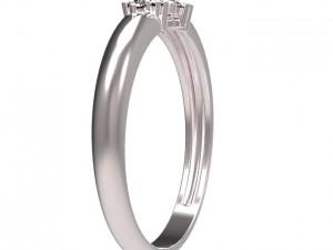 ring 107 3D 프린트 모델