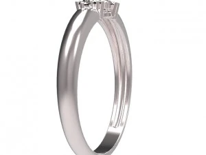 ring 107 3D Print Model