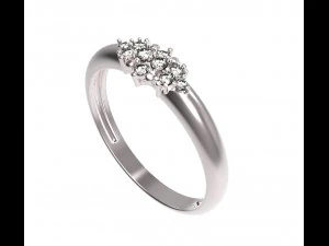 ring 107 3D Print Model