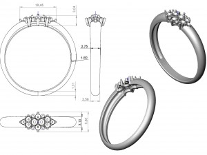 ring 107 3D 프린트 모델