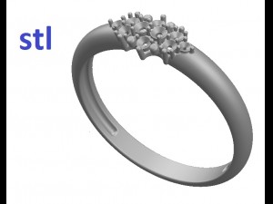 ring 107 3D 프린트 모델
