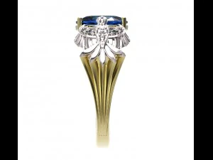 ring 109 3D Print Model