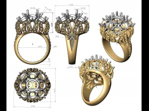 ring 110 3D Print Model