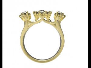 ring 111 3D Принт Модель