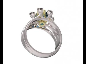 ring 112 3D Print Model