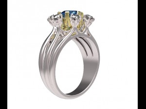 ring 112 3D Print Model