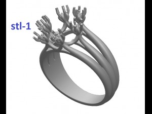 ring 112 3D Print Model