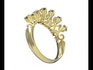 ring 113 3D Принт Модель