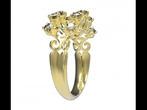 ring 113 3D Принт Модель
