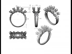 ring 113 3D Принт Модель